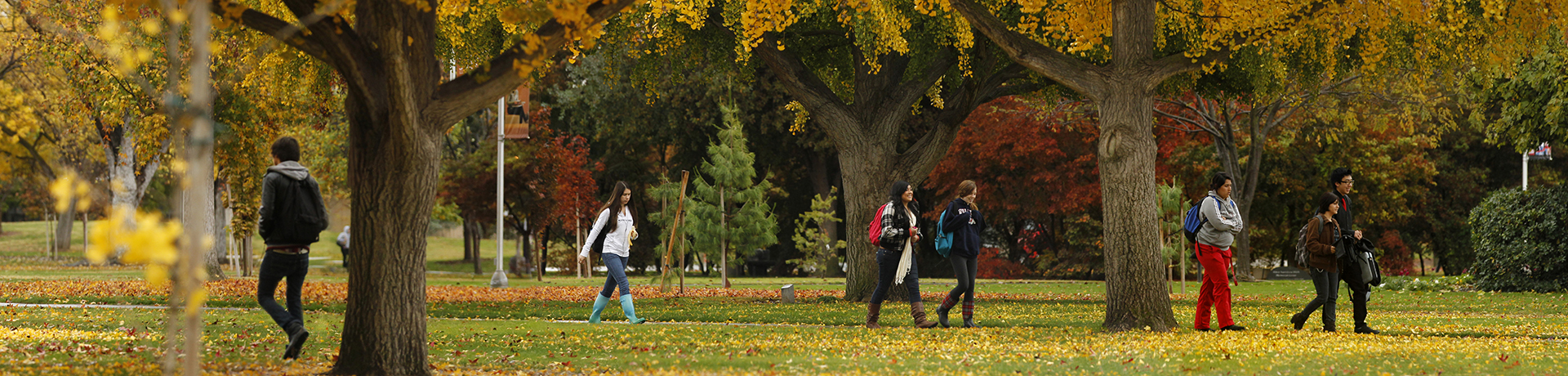students walking in campus during the fall